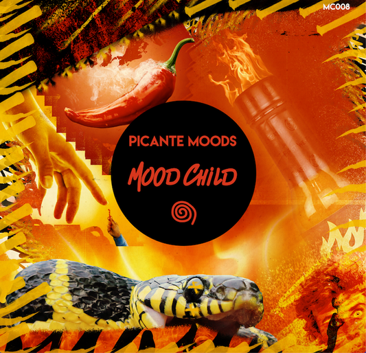 Various Artists - Picante Moods [MC008]